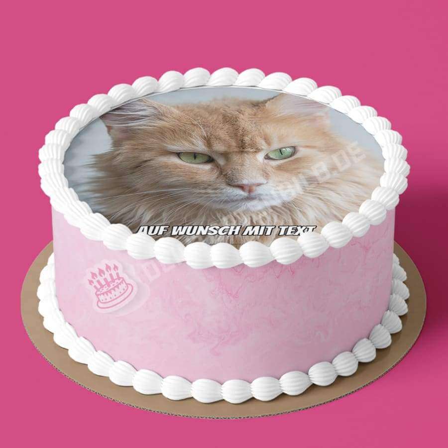 Motiv: Katze Beige - Hochwertige und individuelle Tortenaufleger für jeden Anlass
Tortenaufleger Katze Beige Fotomotiv 20cm Kreis
Unsere Tortenaufleger sind ein ideales Geschenk für bes - Tortenbild - DeintortenbildKatze Beige