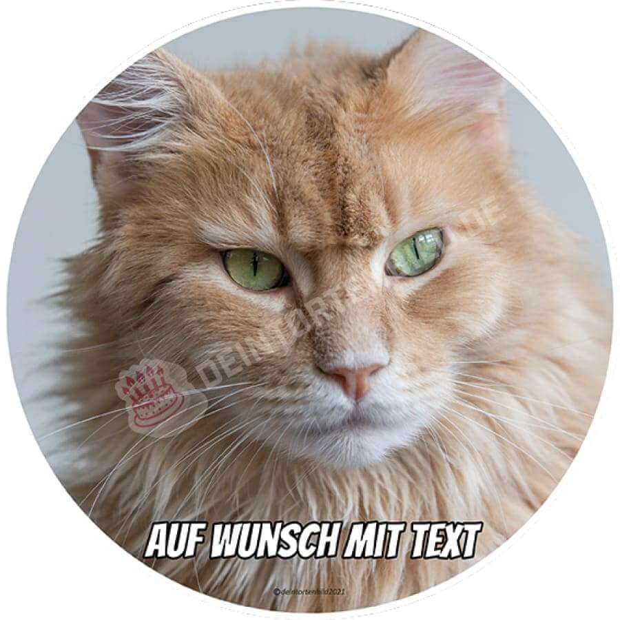 Motiv: Katze Beige - Hochwertige und individuelle Tortenaufleger für jeden Anlass
Tortenaufleger Katze Beige Fotomotiv 20cm Kreis
Unsere Tortenaufleger sind ein ideales Geschenk für bes - Tortenbild - DeintortenbildKatze Beige