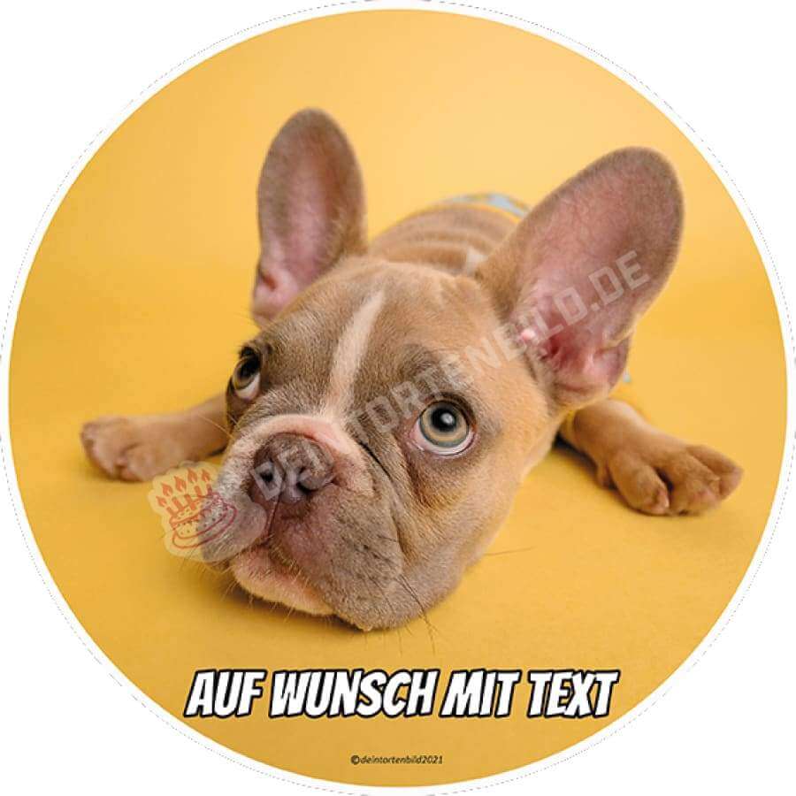 Motiv: Franz. Bulldogge liegend - Hochwertige und individuelle Tortenaufleger für jeden Anlass
Tortenaufleger Franz. Bulldogge liegend in 20cm Kreis
Unsere Tortenaufleger sind ein ideales Geschenk f - Tortenbild - DeintortenbildBulldogge liegend