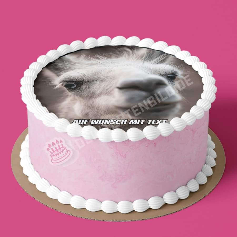 Motiv: Lama Kopf - Hochwertige und individuelle Tortenaufleger für jeden Anlass
Tortenaufleger Lama Kopf nah in 20cm Kreis
Unsere Tortenaufleger sind ein ideales Geschenk für besonder - Tortenbild - DeintortenbildLama Kopf