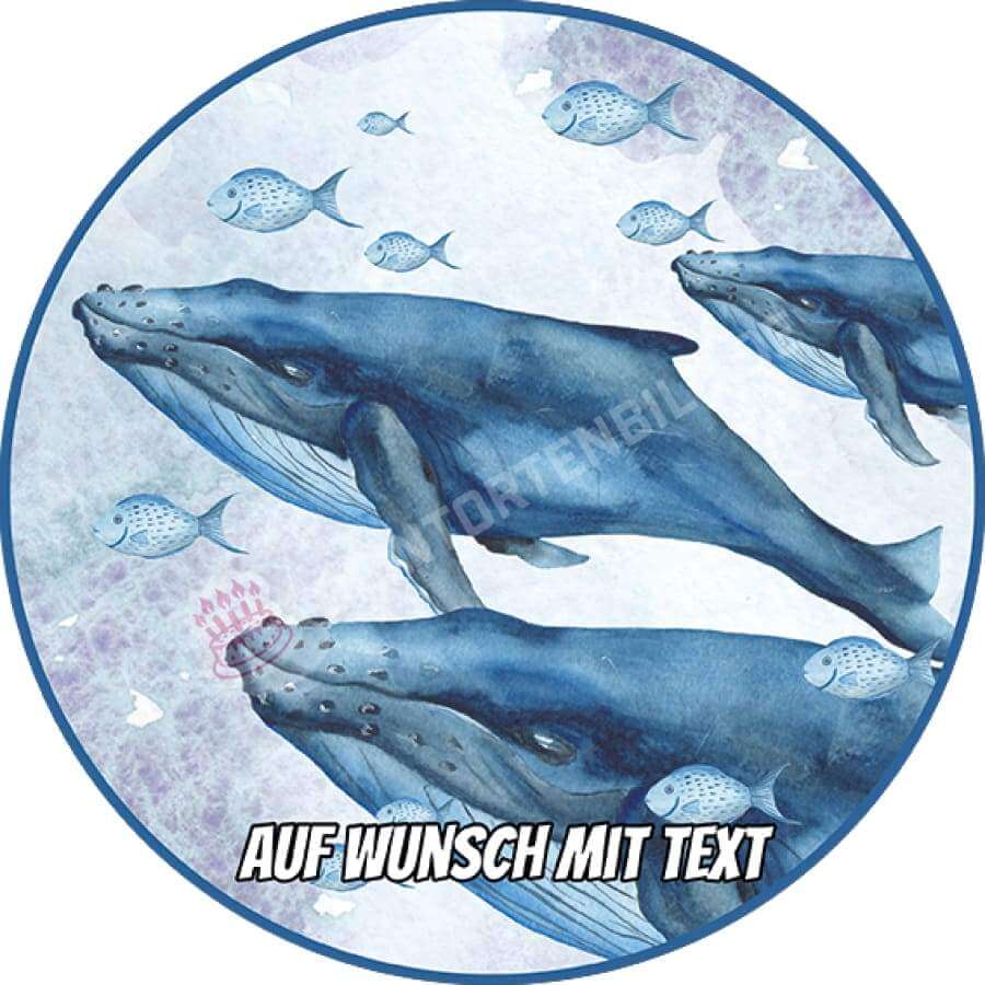 Motiv: Blauwale - Hochwertige und individuelle Tortenaufleger für jeden Anlass
Tortenaufleger Blauwale 20cm Kreis
Dieser Tortenaufleger mit drei Blauwalen und kleinen blauen Fischen - Tortenbild - DeintortenbildMotiv