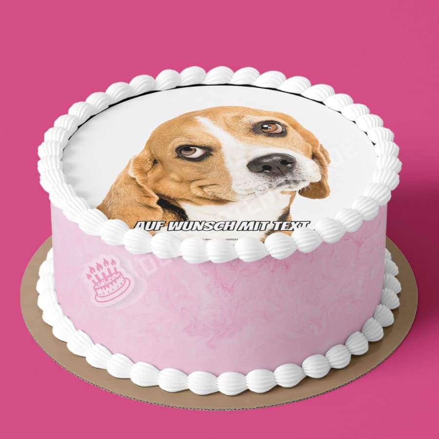 Motiv: Beagle Hund - Hochwertige und individuelle Tortenaufleger für jeden Anlass
Tortenaufleger Beagle Hund in 20cm Kreis
Dieser Tortenaufleger mit einem Beagle Hund der süß nach oben - Tortenbild - DeintortenbildBeagle Hund