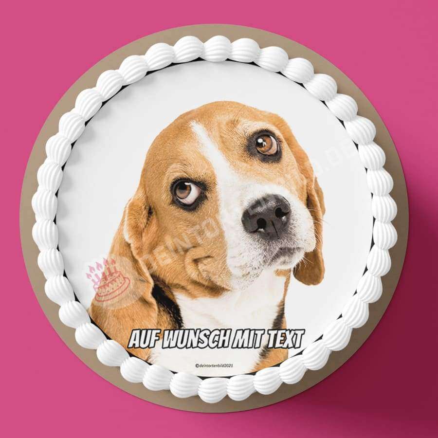 Motiv: Beagle Hund - Hochwertige und individuelle Tortenaufleger für jeden Anlass
Tortenaufleger Beagle Hund in 20cm Kreis
Dieser Tortenaufleger mit einem Beagle Hund der süß nach oben - Tortenbild - DeintortenbildBeagle Hund