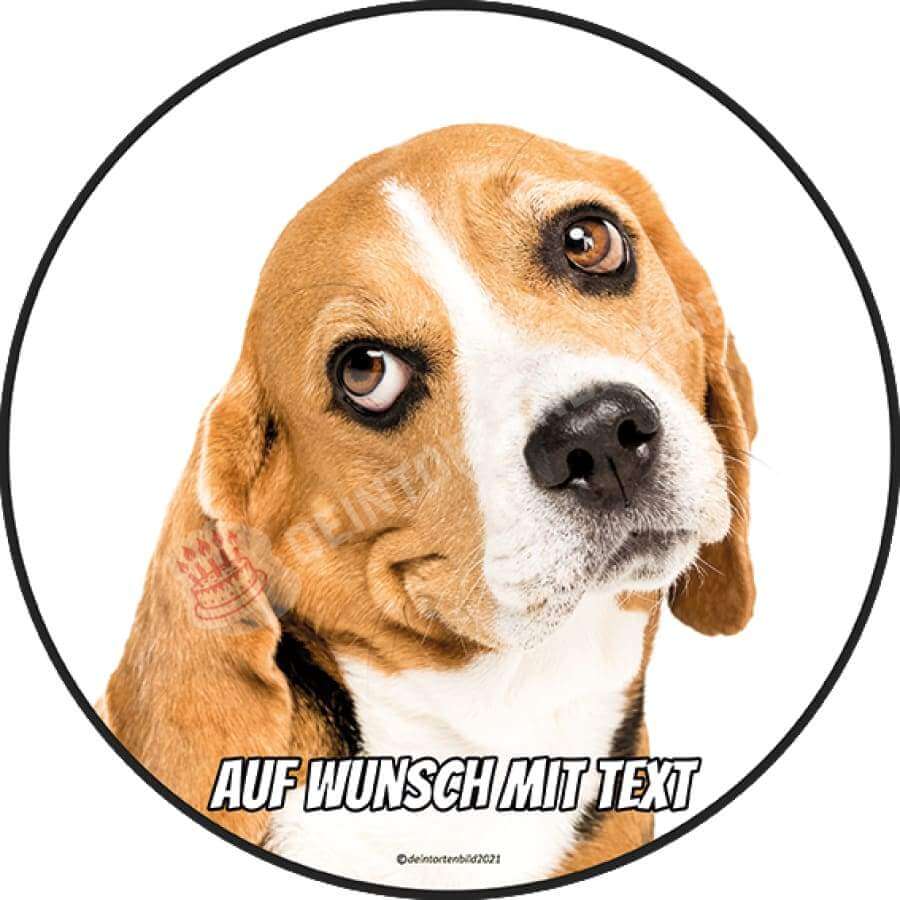 Motiv: Beagle Hund - Hochwertige und individuelle Tortenaufleger für jeden Anlass
Tortenaufleger Beagle Hund in 20cm Kreis
Dieser Tortenaufleger mit einem Beagle Hund der süß nach oben - Tortenbild - DeintortenbildBeagle Hund