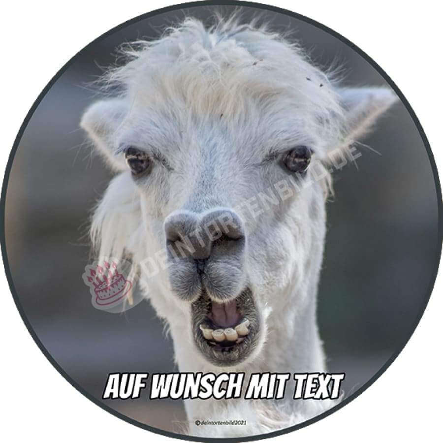 Motiv: Lustiges Lama - Hochwertige und individuelle Tortenaufleger für jeden Anlass
Tortenaufleger Lustiges Lama in 20cm Kreis
Unsere Tortenaufleger sind ein ideales Geschenk für besonder - Tortenbild - DeintortenbildLustiges Lama